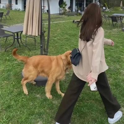 眼泪制造者
